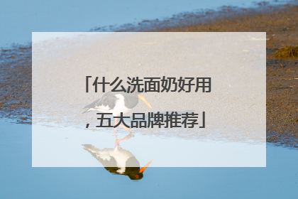 什么洗面奶好用，五大品牌推荐
