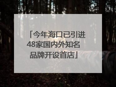 今年海口已引进48家国内外知名品牌开设首店