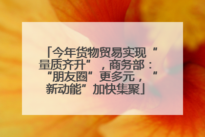 今年货物贸易实现“量质齐升”，商务部：“朋友圈”更多元，“新动能”加快集聚