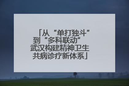 从“单打独斗”到“多科联动” 武汉构建精神卫生共病诊疗新体系
