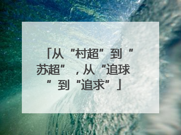 从“村超”到“苏超”，从“追球”到“追求”