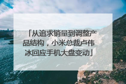 从追求销量到调整产品结构，小米总裁卢伟冰回应手机大盘变动