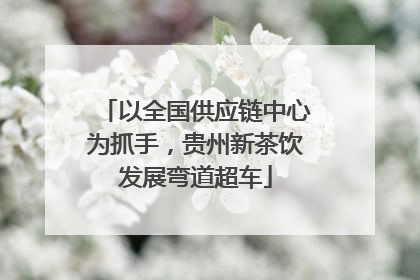 以全国供应链中心为抓手，贵州新茶饮发展弯道超车