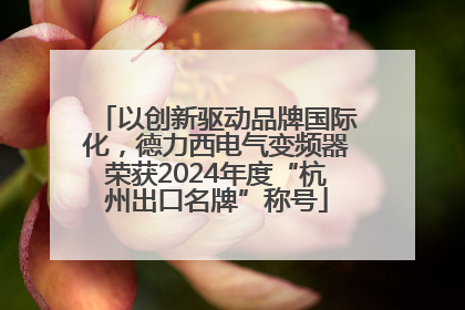 以创新驱动品牌国际化，德力西电气变频器荣获2024年度“杭州出口名牌”称号