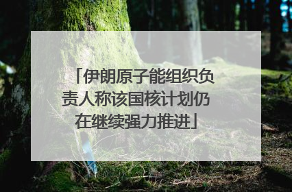 伊朗原子能组织负责人称该国核计划仍在继续强力推进