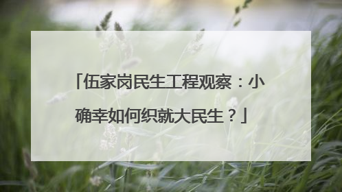 伍家岗民生工程观察：小确幸如何织就大民生？