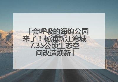会呼吸的海绵公园来了！杨浦新江湾城7.35公顷生态空间改造焕新