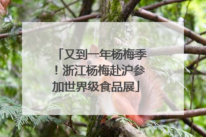 又到一年杨梅季！浙江杨梅赴沪参加世界级食品展