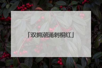 双拥潮涌刺桐红
