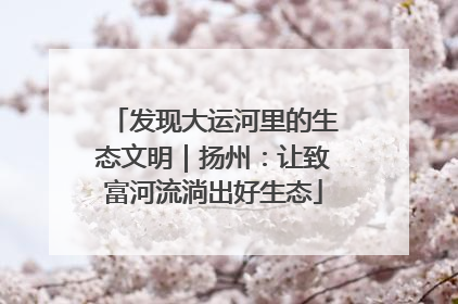 发现大运河里的生态文明｜扬州：让致富河流淌出好生态