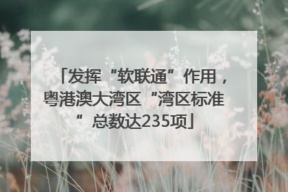 发挥“软联通”作用，粤港澳大湾区“湾区标准”总数达235项