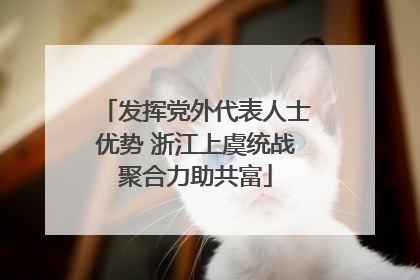 发挥党外代表人士优势 浙江上虞统战聚合力助共富
