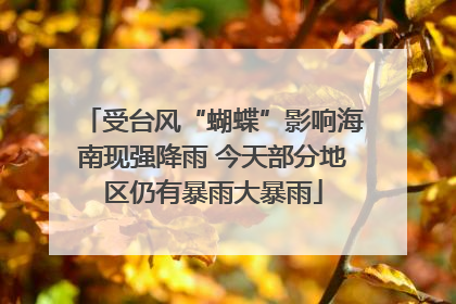 受台风“蝴蝶”影响海南现强降雨 今天部分地区仍有暴雨大暴雨