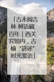 古木阅吉林 树语藏百年｜西关宾馆内，古榆“讲述”时光絮语