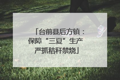 台前县后方镇：保障“三夏”生产 严抓秸秆禁烧