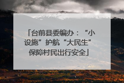 台前县委编办：“小设施”护航“大民生” 保障村民出行安全