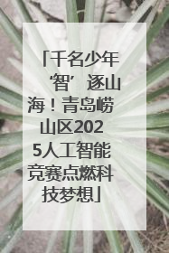 千名少年‘智’逐山海！青岛崂山区2025人工智能竞赛点燃科技梦想