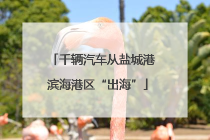 千辆汽车从盐城港滨海港区“出海”