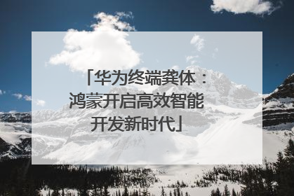 华为终端龚体：鸿蒙开启高效智能开发新时代