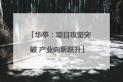 华亭：项目攻坚突破 产业向新跃升