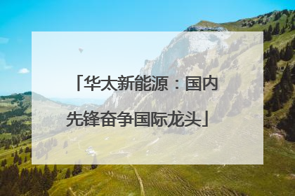 华太新能源：国内先锋奋争国际龙头