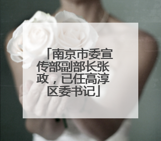 南京市委宣传部副部长张政，已任高淳区委书记