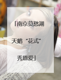 南京莫愁湖天鹅“花式”秀恩爱