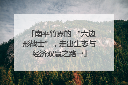 南平竹界的 “六边形战士”，走出生态与经济双赢之路→