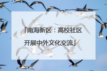 南海新区：高校社区开展中外文化交流