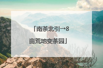 南茶北引→8亩荒地变茶园