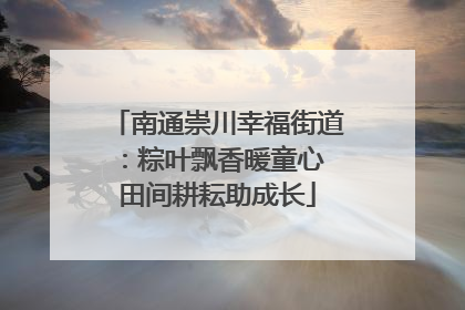 南通崇川幸福街道：粽叶飘香暖童心 田间耕耘助成长
