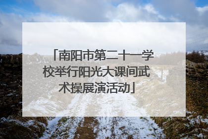 南阳市第二十一学校举行阳光大课间武术操展演活动