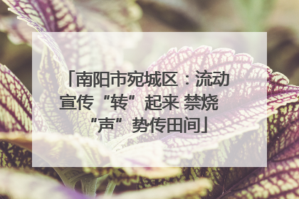 南阳市宛城区：流动宣传“转”起来 禁烧“声”势传田间