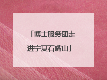 博士服务团走进宁夏石嘴山