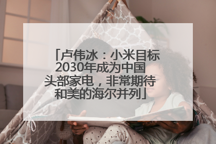卢伟冰：小米目标2030年成为中国头部家电，非常期待和美的海尔并列