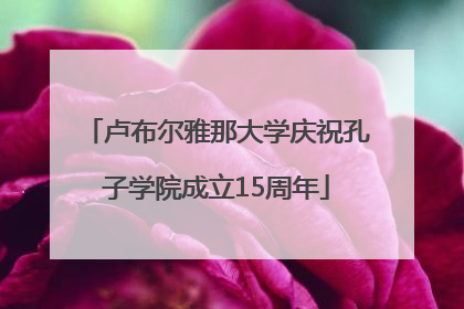 卢布尔雅那大学庆祝孔子学院成立15周年