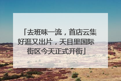 去班味一流，首店云集好逛又出片，天目里国际街区今天正式开街