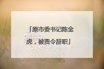 原市委书记陈金虎，被责令辞职