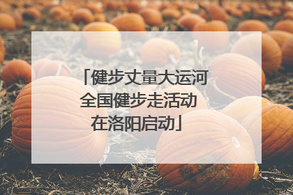 健步丈量大运河 全国健步走活动在洛阳启动