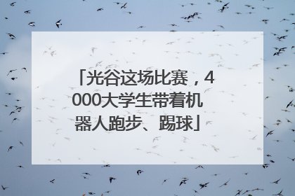 光谷这场比赛，4000大学生带着机器人跑步、踢球