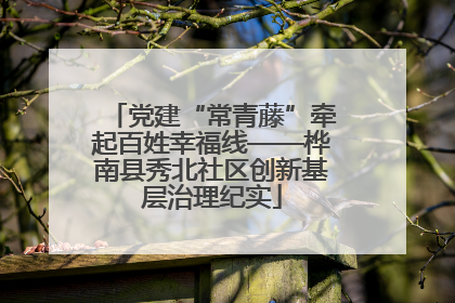 党建“常青藤”牵起百姓幸福线——桦南县秀北社区创新基层治理纪实