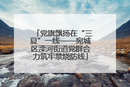 党旗飘扬在“三夏”一线——宛城区溧河街道党群合力筑牢禁烧防线