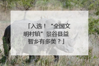 入选！“全国文明村镇”景谷县益智乡有多美？