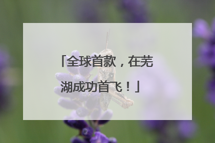 全球首款，在芜湖成功首飞！