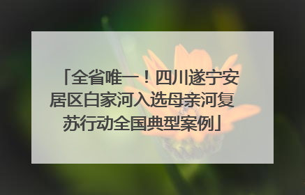 全省唯一！四川遂宁安居区白家河入选母亲河复苏行动全国典型案例