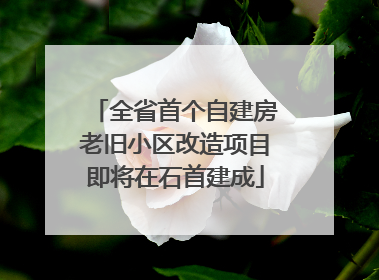 全省首个自建房老旧小区改造项目即将在石首建成