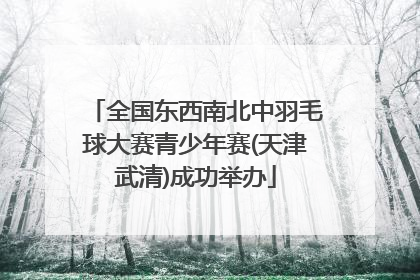 全国东西南北中羽毛球大赛青少年赛(天津武清)成功举办