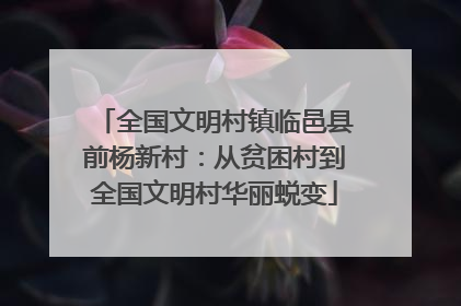 全国文明村镇临邑县前杨新村：从贫困村到全国文明村华丽蜕变