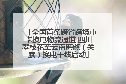 全国首条跨省跨境重卡换电物流通道 四川攀枝花至云南磨憨（关累）换电干线启动