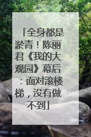全身都是淤青！陈丽君《我的大观园》幕后：面对滚楼梯，没有做不到
